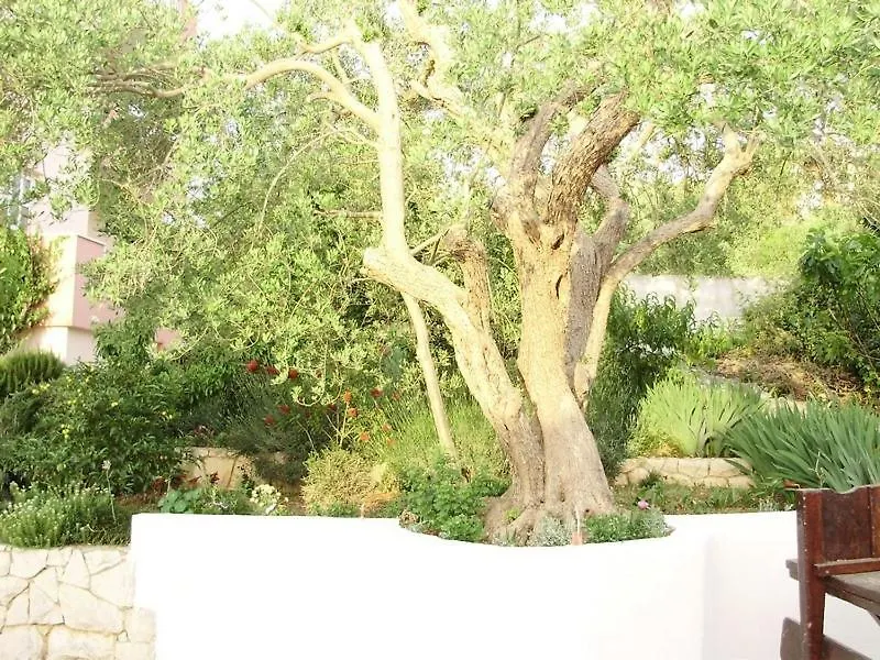 Apartment In Okrug Gornji With Sea View, Balcony, Air Conditioning, Wifi 5048-5 Trogir